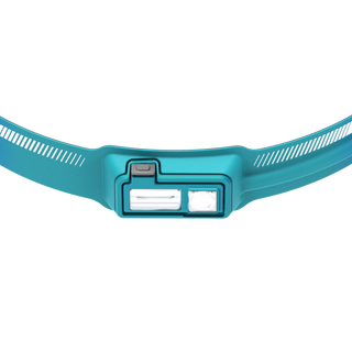 Ocean Teal |