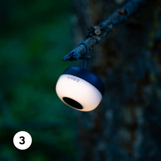 A small, round light hangs from a twig, glowing softly against a dark, blurred background.
