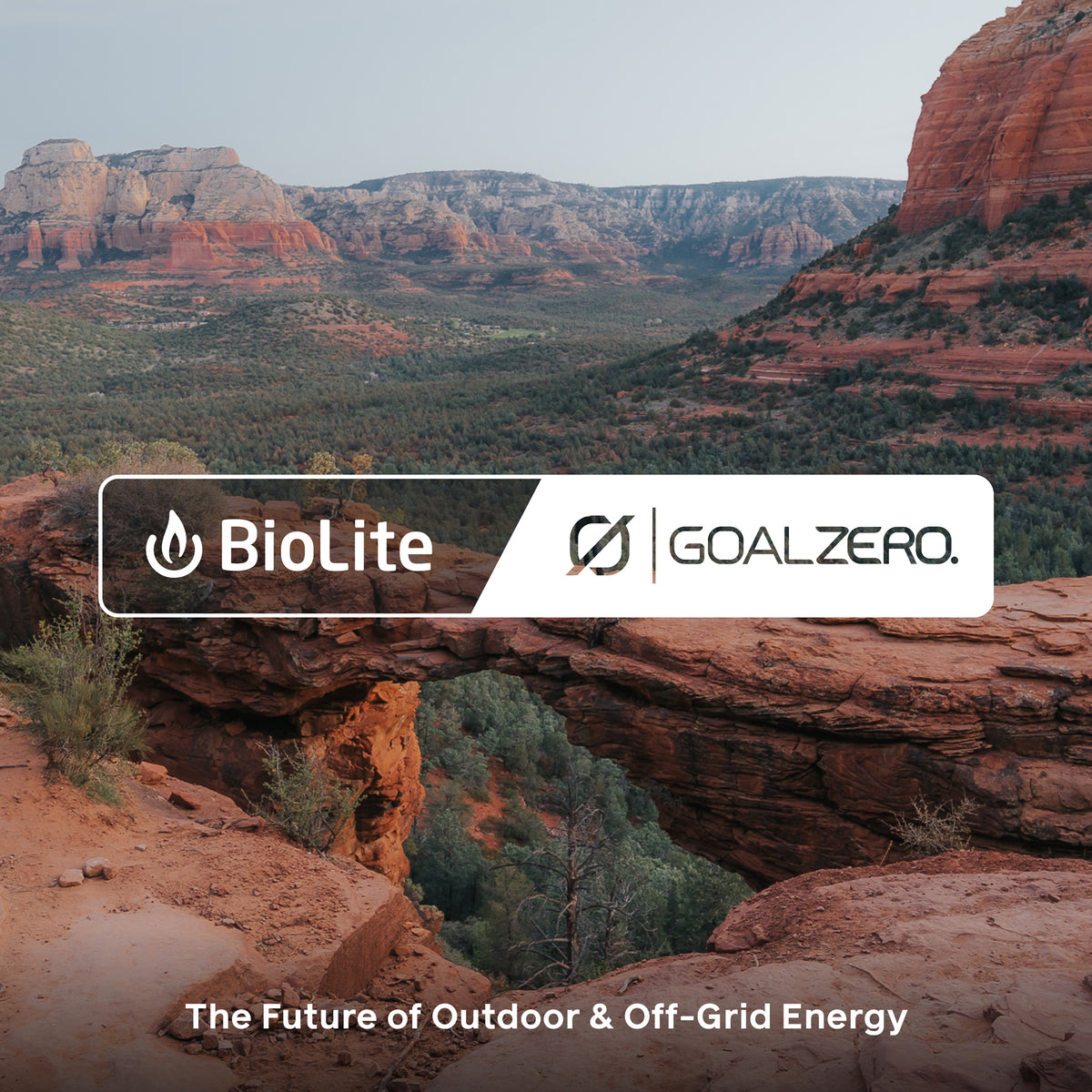 The BioLite Blog | BioLite Official