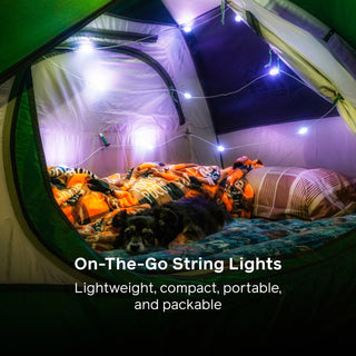 Solar String 18' Color